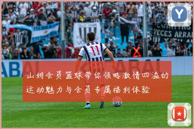 山姆会员篮球带你领略激情四溢的运动魅力与会员专属福利体验