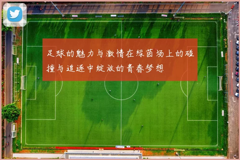 足球的魅力与激情在绿茵场上的碰撞与追逐中绽放的青春梦想