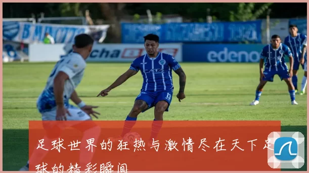 足球世界的狂热与激情尽在天下足球的精彩瞬间