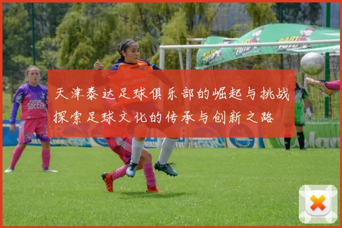 天津泰达足球俱乐部的崛起与挑战探索足球文化的传承与创新之路