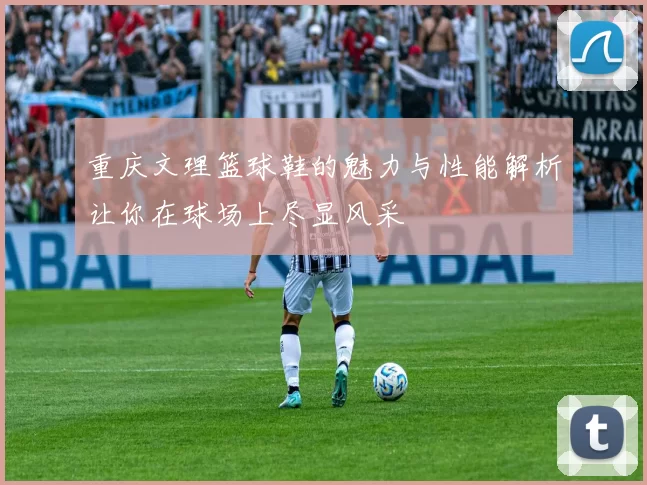 重庆文理篮球鞋的魅力与性能解析让你在球场上尽显风采